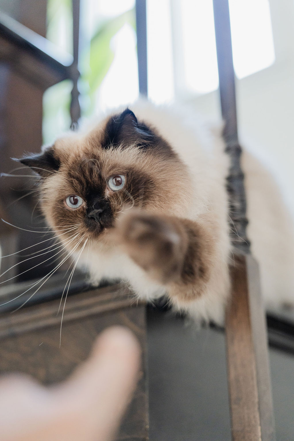 Photographie de Famille