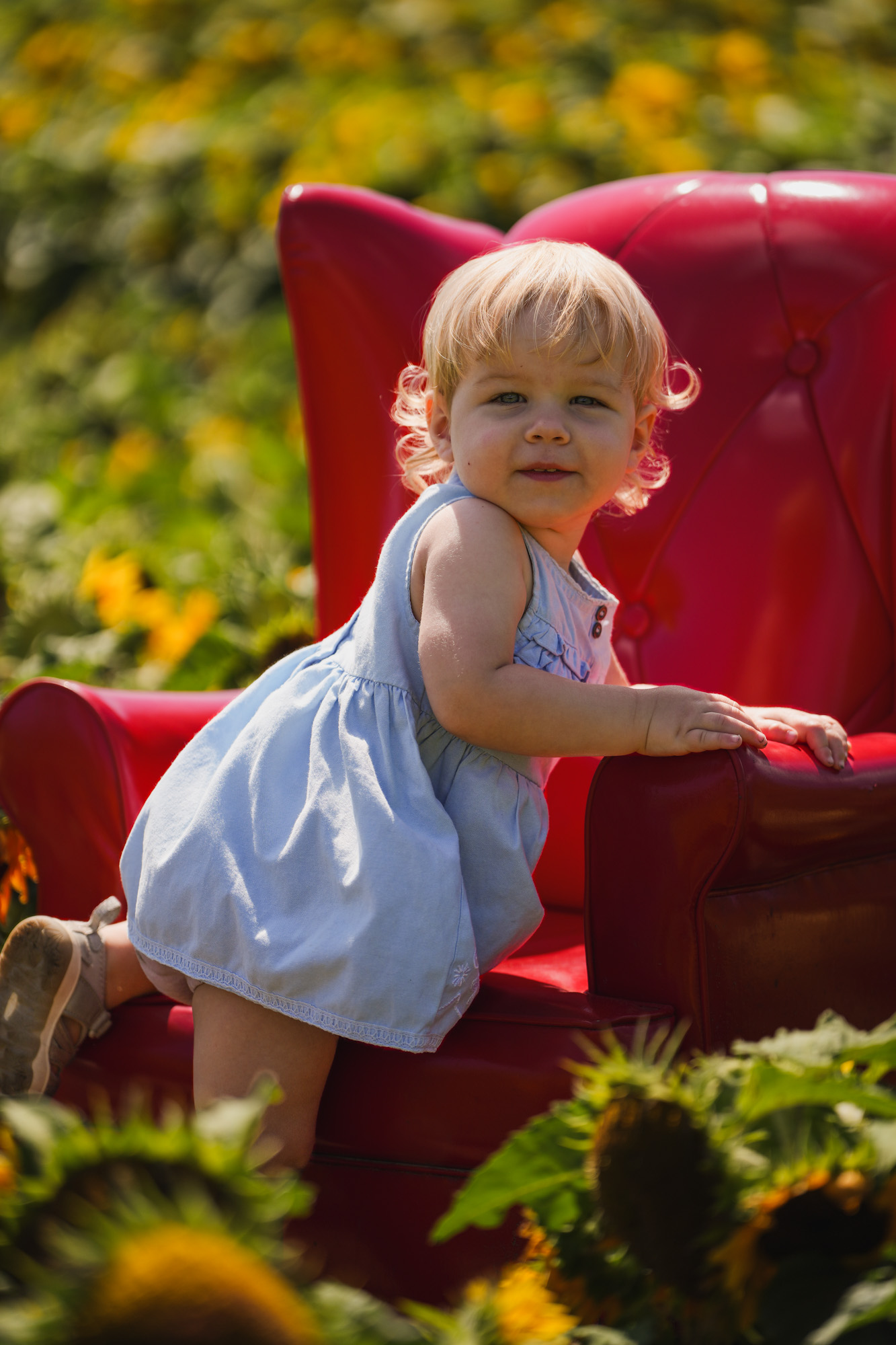 Photographie de Famille